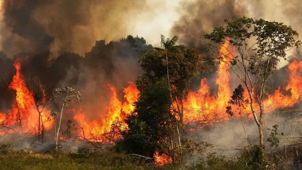 La respuesta que divide a Brasil: cuál es la principal causa de los incendios en la Amazonía La respuesta que divide a Brasil: cuál es la principal causa de los incendios en la Amazonía